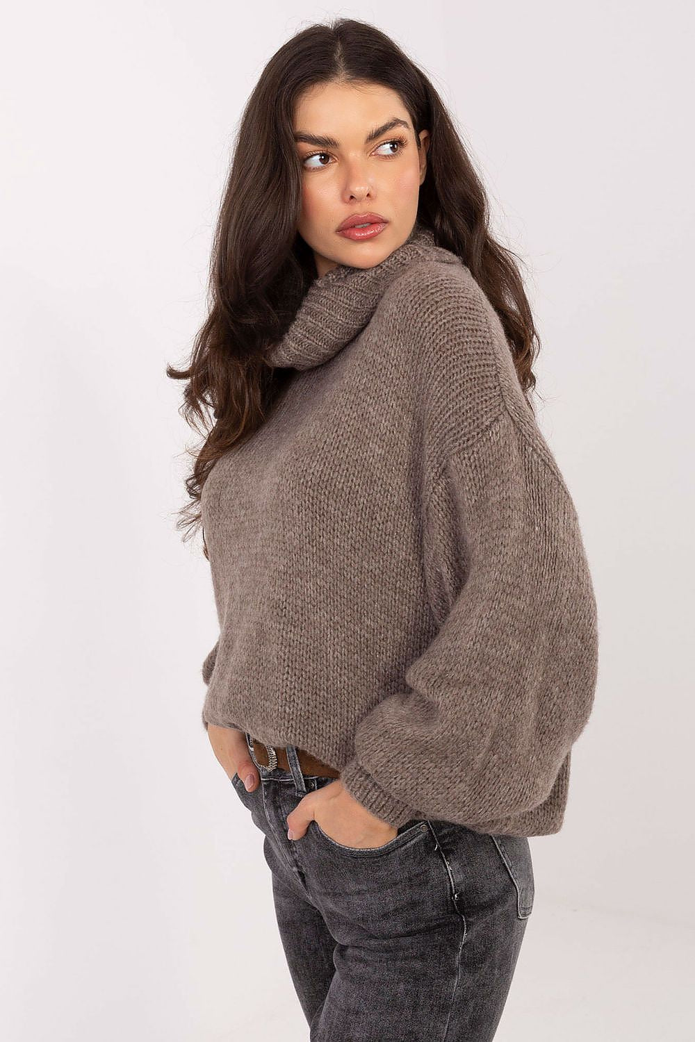 Rollkragenpullover model 221853 Factory Price