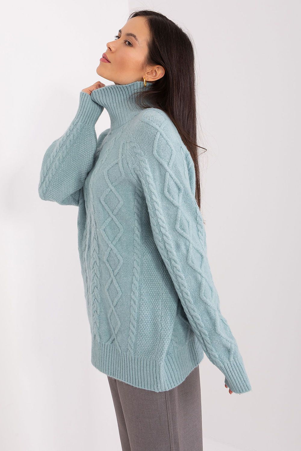 Rollkragenpullover Model 189222 AT