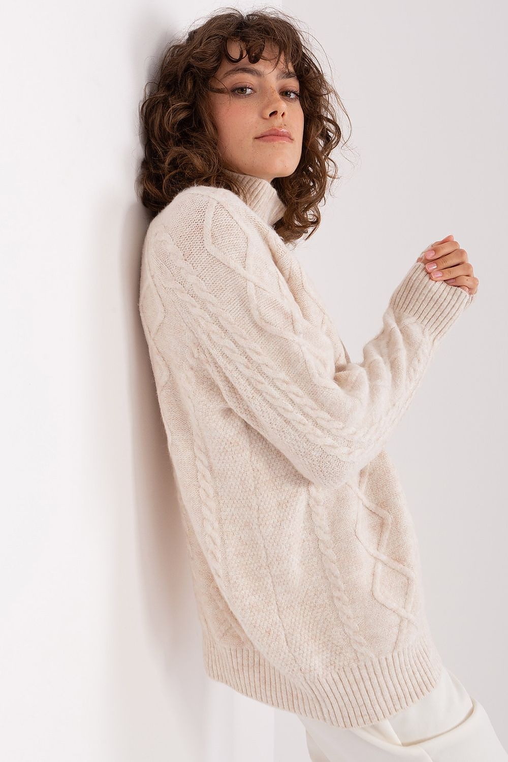 Rollkragenpullover Model 189227 AT
