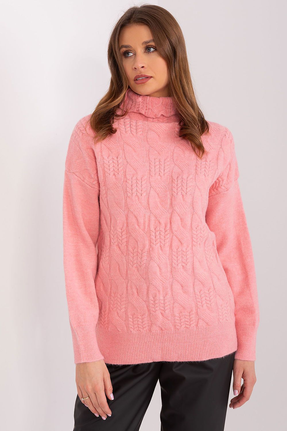 Rollkragenpullover Model 189886 AT