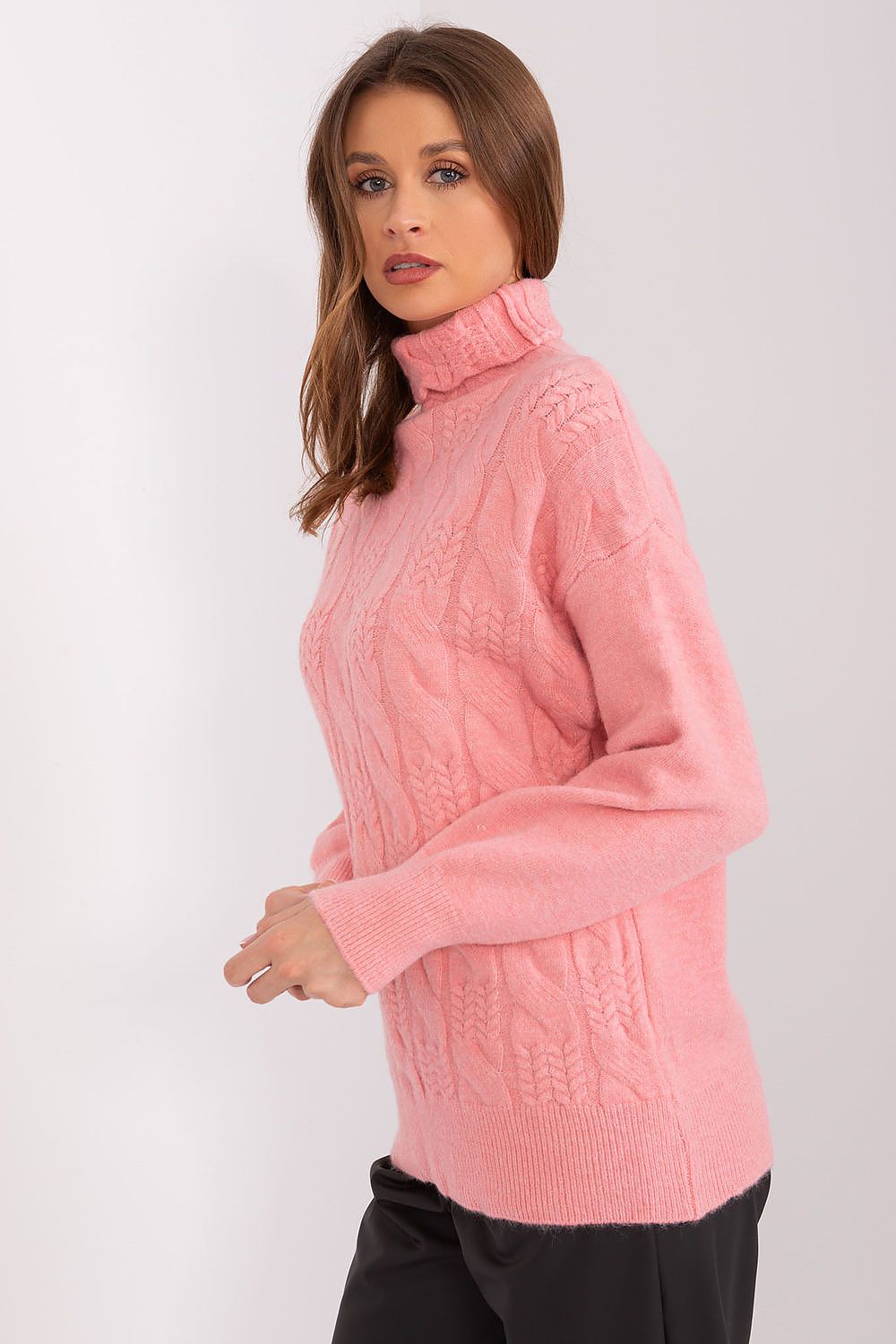 Rollkragenpullover Model 189886 AT