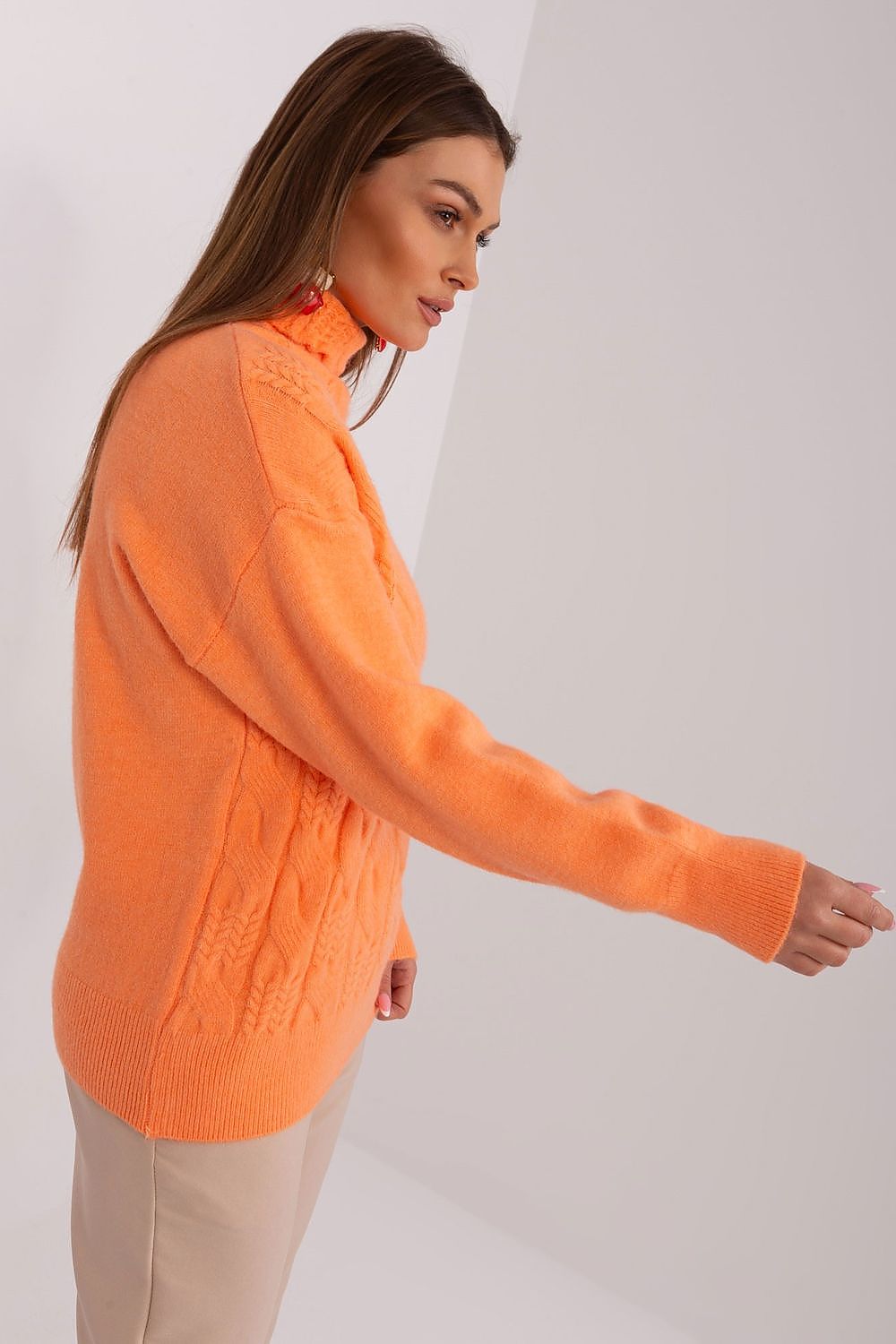 Rollkragenpullover Model 189887 AT