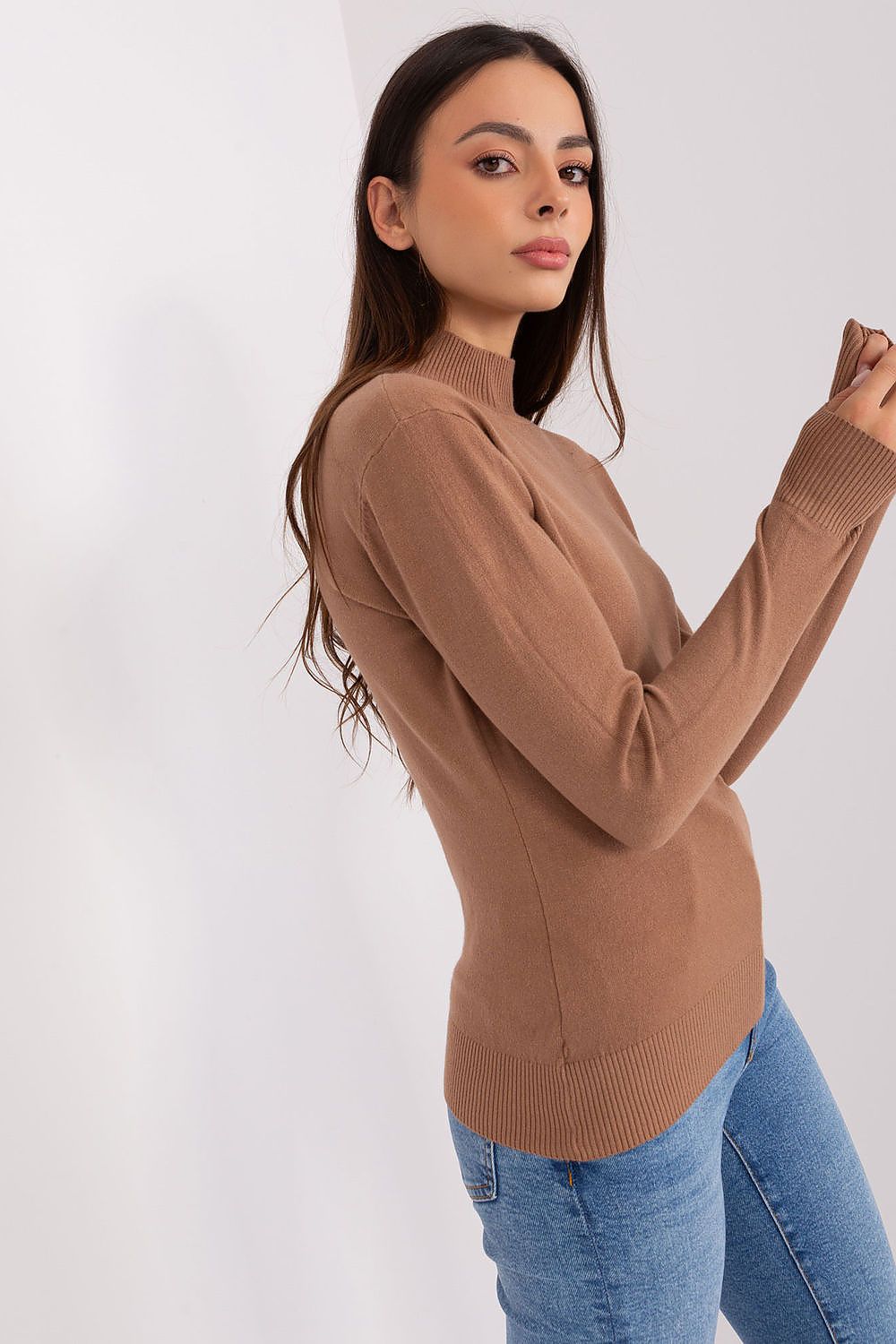 Rollkragenpullover Model 185535 Factory Price